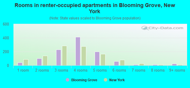 Rooms in renter-occupied apartments in Blooming Grove, New York