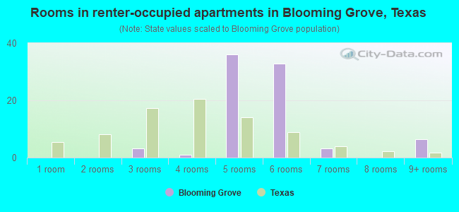 Rooms in renter-occupied apartments in Blooming Grove, Texas