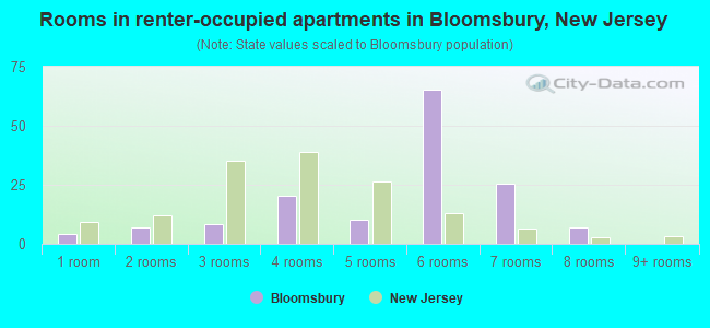 Rooms in renter-occupied apartments in Bloomsbury, New Jersey