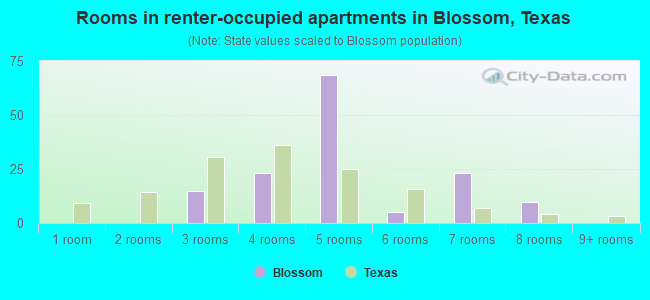 Rooms in renter-occupied apartments in Blossom, Texas