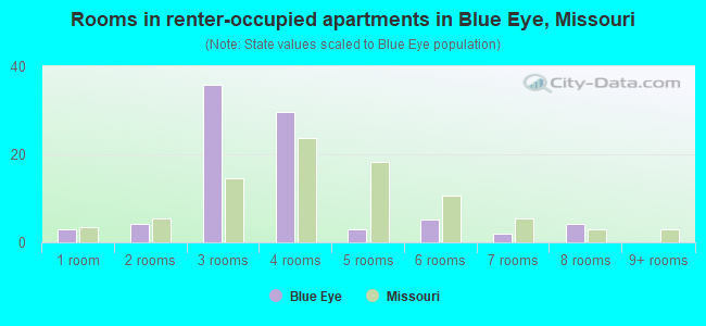 Rooms in renter-occupied apartments in Blue Eye, Missouri