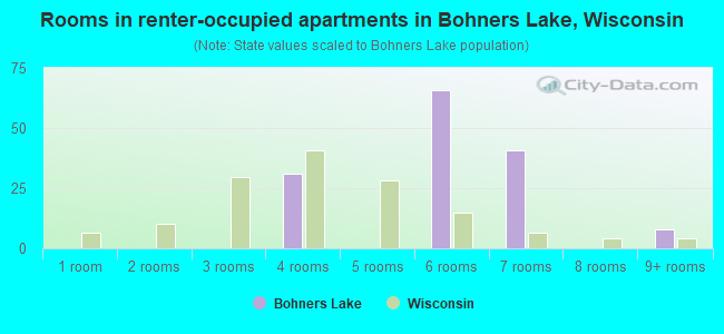 Rooms in renter-occupied apartments in Bohners Lake, Wisconsin