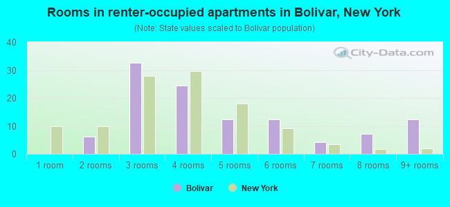 Rooms in renter-occupied apartments in Bolivar, New York