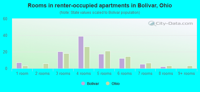 Rooms in renter-occupied apartments in Bolivar, Ohio