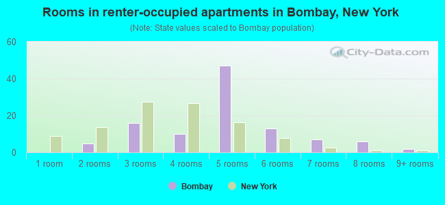 Rooms in renter-occupied apartments in Bombay, New York