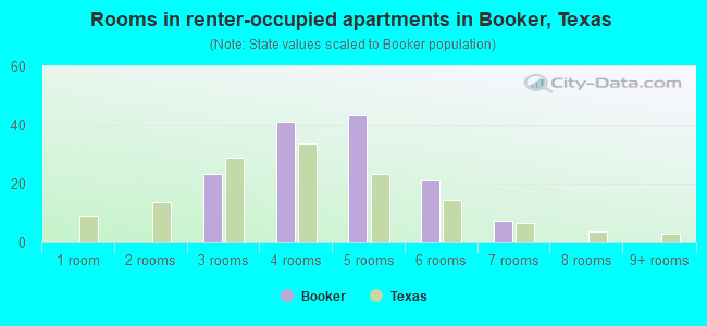 Rooms in renter-occupied apartments in Booker, Texas