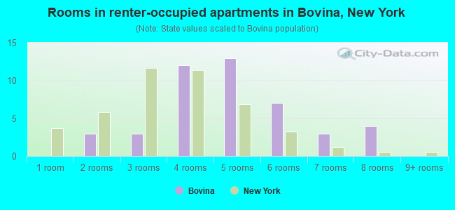 Rooms in renter-occupied apartments in Bovina, New York