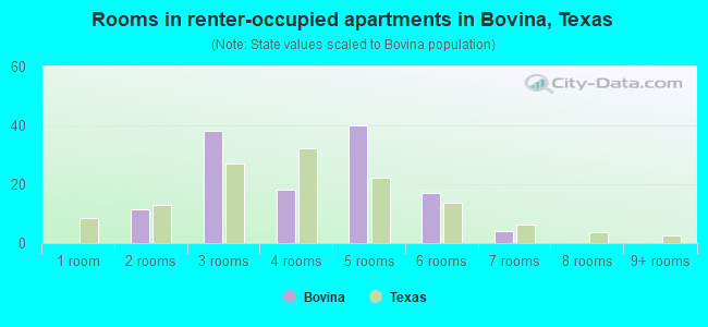 Rooms in renter-occupied apartments in Bovina, Texas