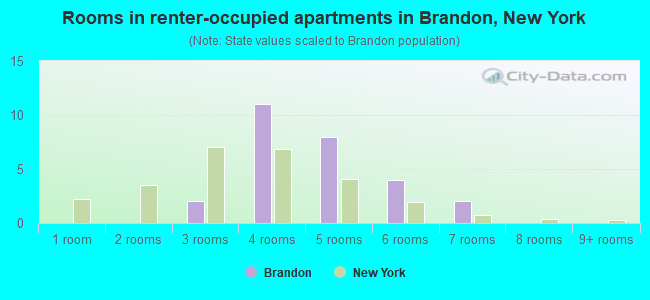 Rooms in renter-occupied apartments in Brandon, New York