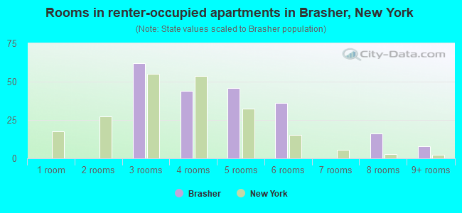 Rooms in renter-occupied apartments in Brasher, New York