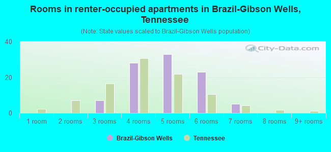 Rooms in renter-occupied apartments in Brazil-Gibson Wells, Tennessee