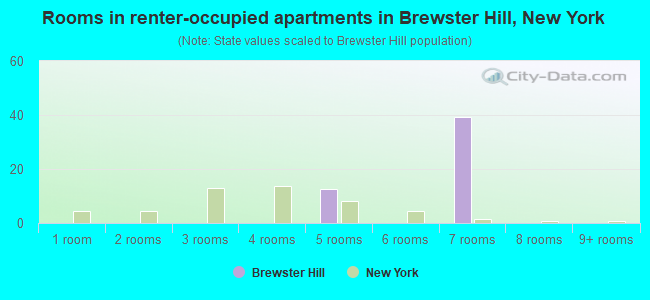 Rooms in renter-occupied apartments in Brewster Hill, New York