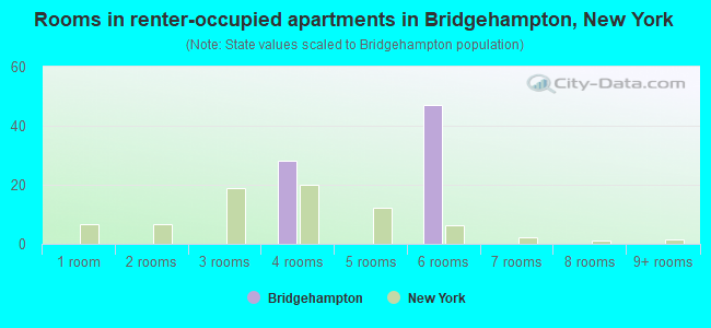 Rooms in renter-occupied apartments in Bridgehampton, New York