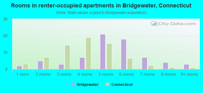 Rooms in renter-occupied apartments in Bridgewater, Connecticut