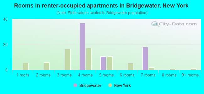 Rooms in renter-occupied apartments in Bridgewater, New York