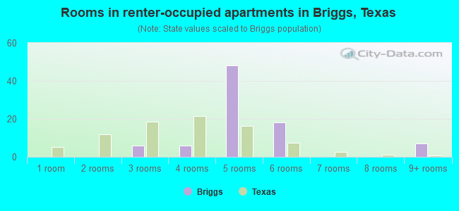 Rooms in renter-occupied apartments in Briggs, Texas