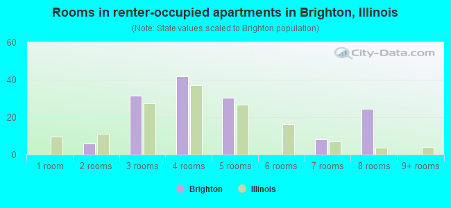 Rooms in renter-occupied apartments in Brighton, Illinois