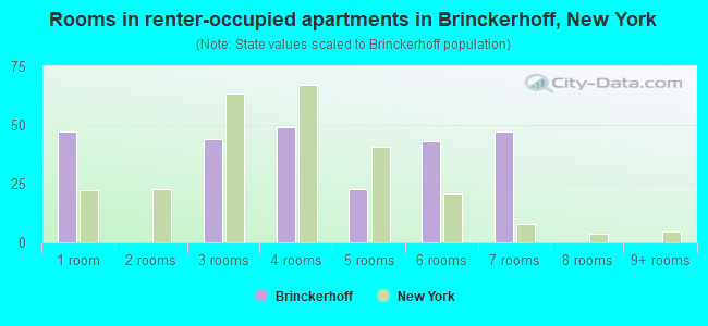 Rooms in renter-occupied apartments in Brinckerhoff, New York
