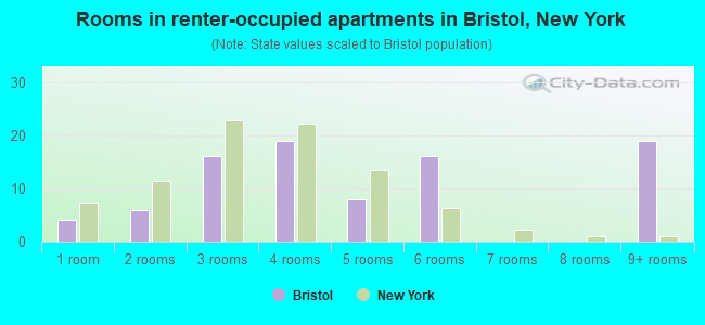 Rooms in renter-occupied apartments in Bristol, New York
