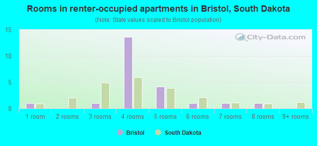 Rooms in renter-occupied apartments in Bristol, South Dakota