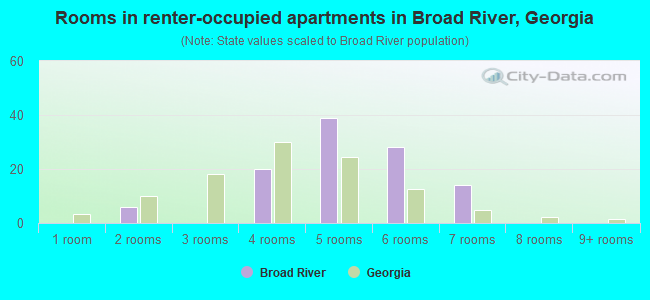 Rooms in renter-occupied apartments in Broad River, Georgia