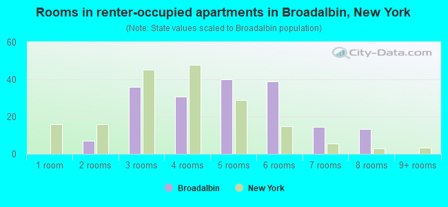 Rooms in renter-occupied apartments in Broadalbin, New York