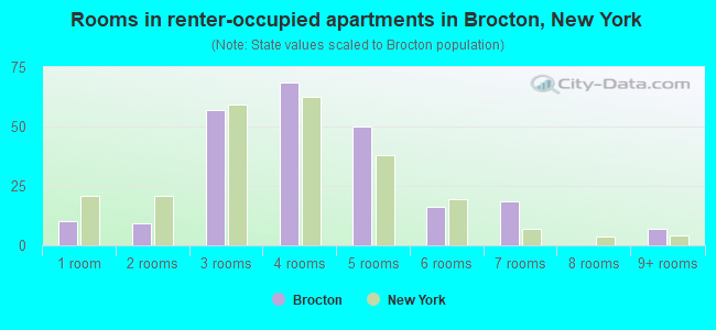 Rooms in renter-occupied apartments in Brocton, New York