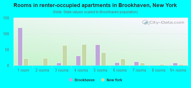 Rooms in renter-occupied apartments in Brookhaven, New York