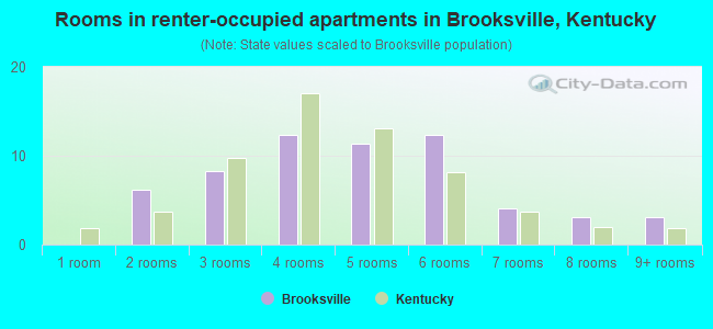 Rooms in renter-occupied apartments in Brooksville, Kentucky