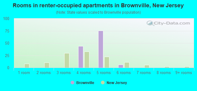 Rooms in renter-occupied apartments in Brownville, New Jersey