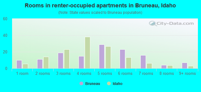 Rooms in renter-occupied apartments in Bruneau, Idaho