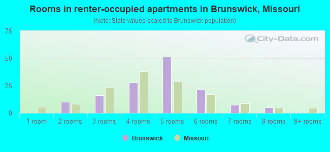 Rooms in renter-occupied apartments in Brunswick, Missouri