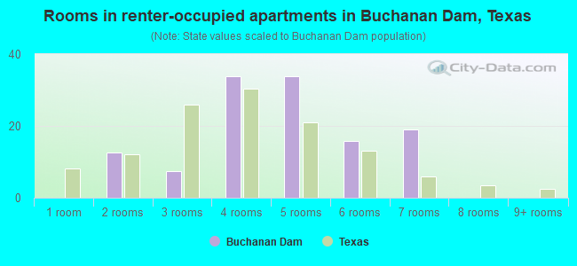 Rooms in renter-occupied apartments in Buchanan Dam, Texas
