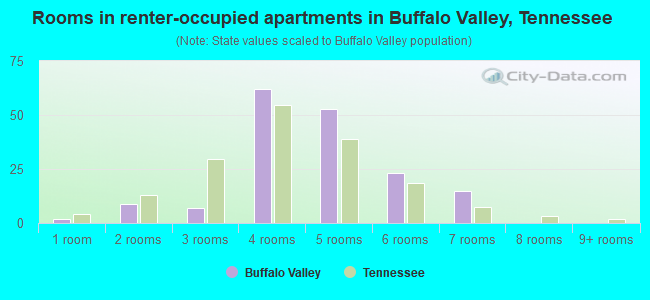 Rooms in renter-occupied apartments in Buffalo Valley, Tennessee