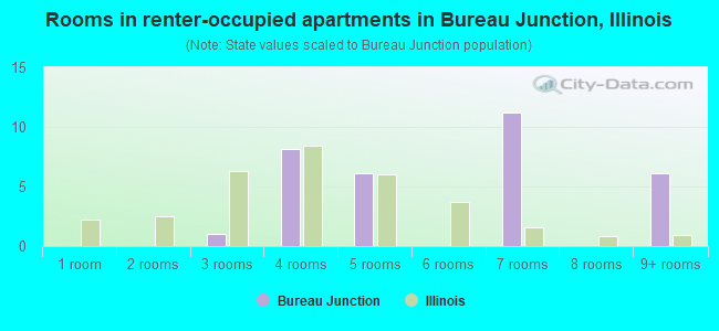 Rooms in renter-occupied apartments in Bureau Junction, Illinois