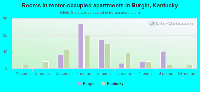Rooms in renter-occupied apartments in Burgin, Kentucky