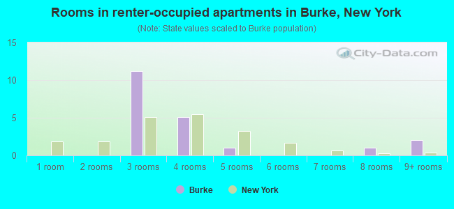 Rooms in renter-occupied apartments in Burke, New York