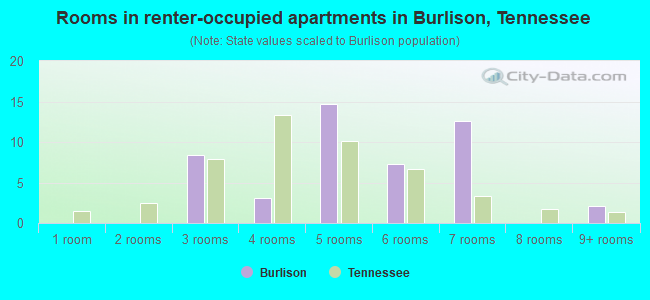 Rooms in renter-occupied apartments in Burlison, Tennessee