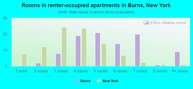 Rooms in renter-occupied apartments in Burns, New York