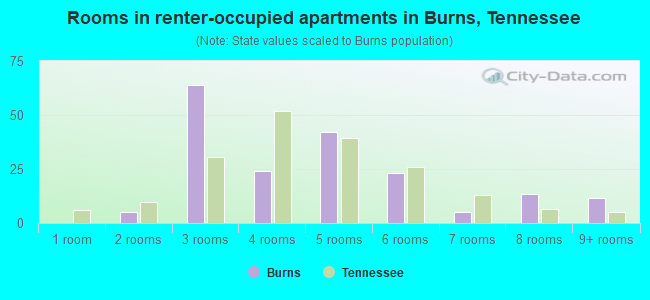Rooms in renter-occupied apartments in Burns, Tennessee