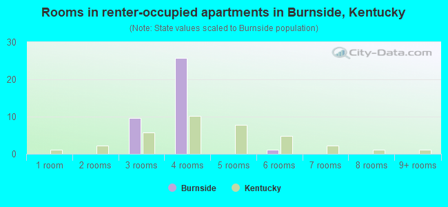 Rooms in renter-occupied apartments in Burnside, Kentucky