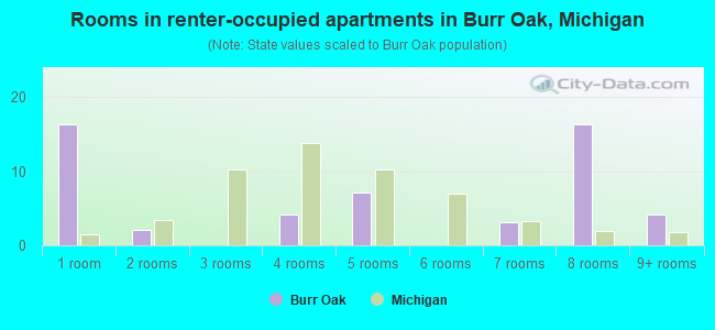 Rooms in renter-occupied apartments in Burr Oak, Michigan