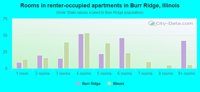 Rooms in renter-occupied apartments in Burr Ridge, Illinois