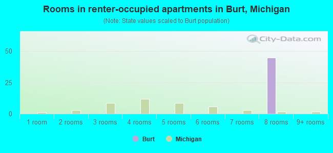Rooms in renter-occupied apartments in Burt, Michigan