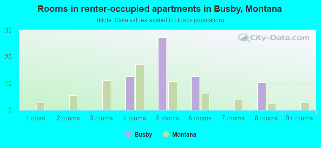 Rooms in renter-occupied apartments in Busby, Montana