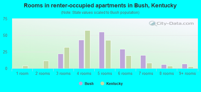 Rooms in renter-occupied apartments in Bush, Kentucky