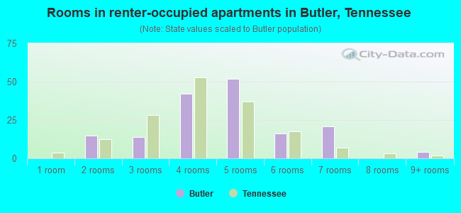 Rooms in renter-occupied apartments in Butler, Tennessee