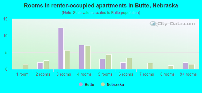 Rooms in renter-occupied apartments in Butte, Nebraska