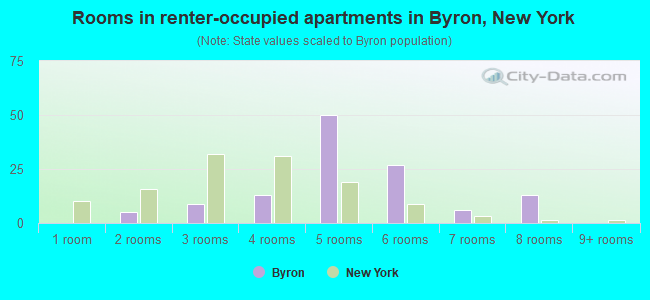 Rooms in renter-occupied apartments in Byron, New York
