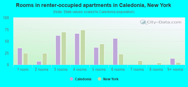 Rooms in renter-occupied apartments in Caledonia, New York